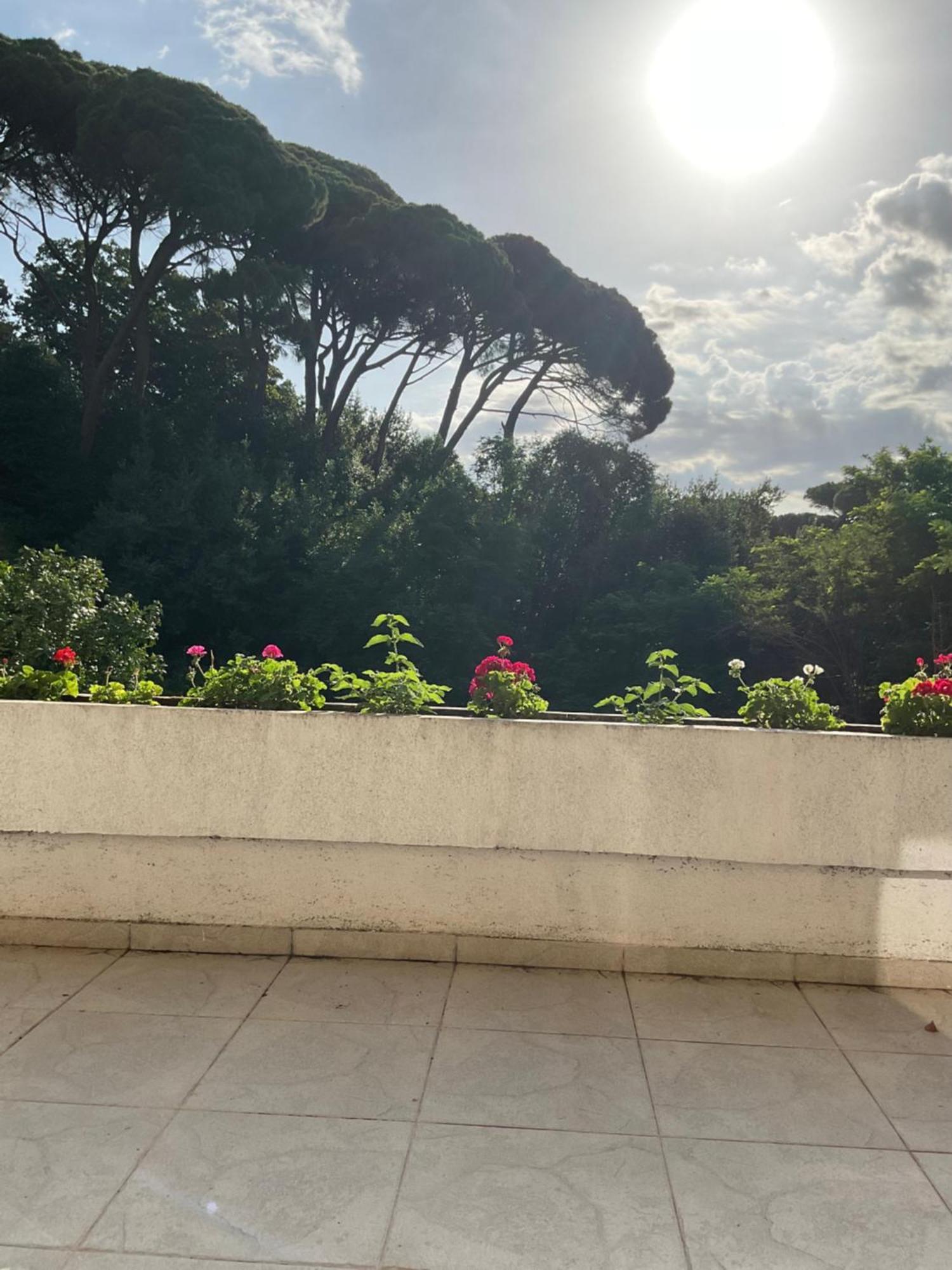 Villa Monte Boutique Apartments In Χέρτσεγκ Νόβι Εξωτερικό φωτογραφία